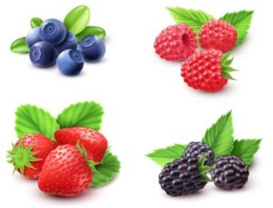 vitamin pencegah katarak dari buah BERI