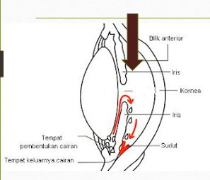 bilik mata depan