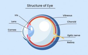 Retina Mata Rusak