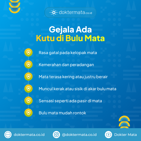 Gejala Ada Kutu di Bulu Mata