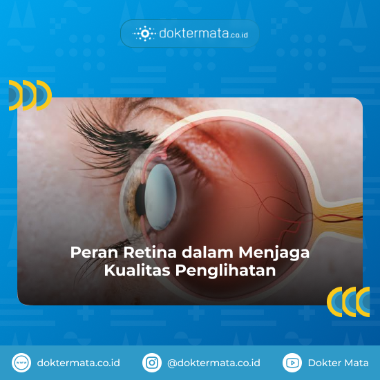 Peran Retina dalam Menjaga Kualitas Penglihatan - Retina Sehat