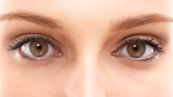 Operasi Retina