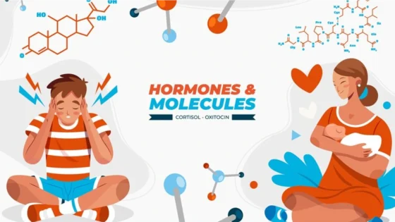 Hormon dan kondisi mata
