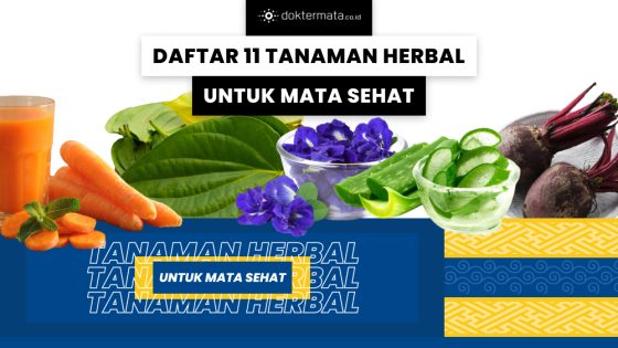 Dafar 11 Tanaman Herbal Untuk Mata Sehat