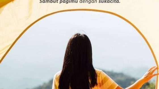 cover DM-min-min